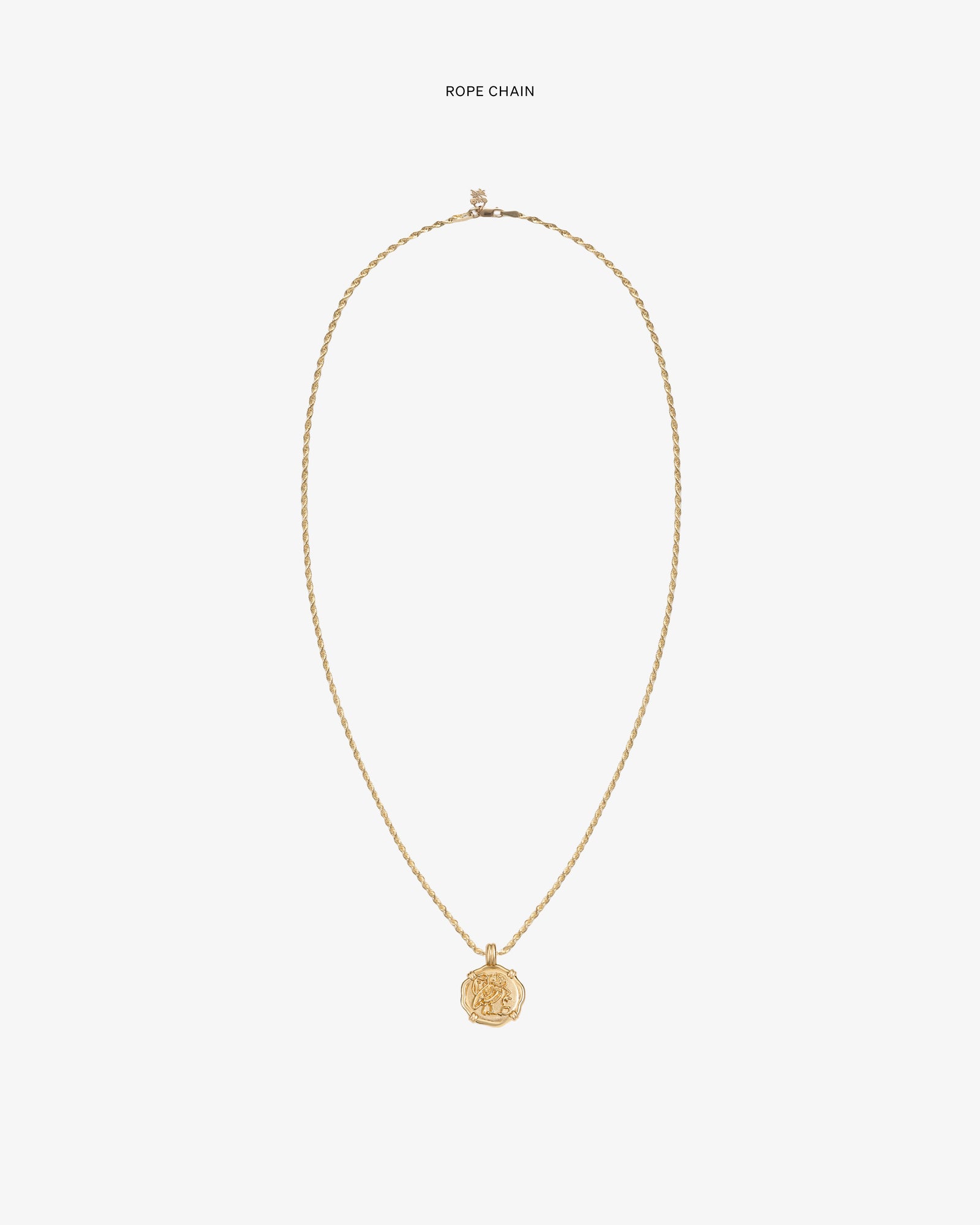 14Kt Gold Coin Pendant on a gold rope chain, centered on a plain white background.