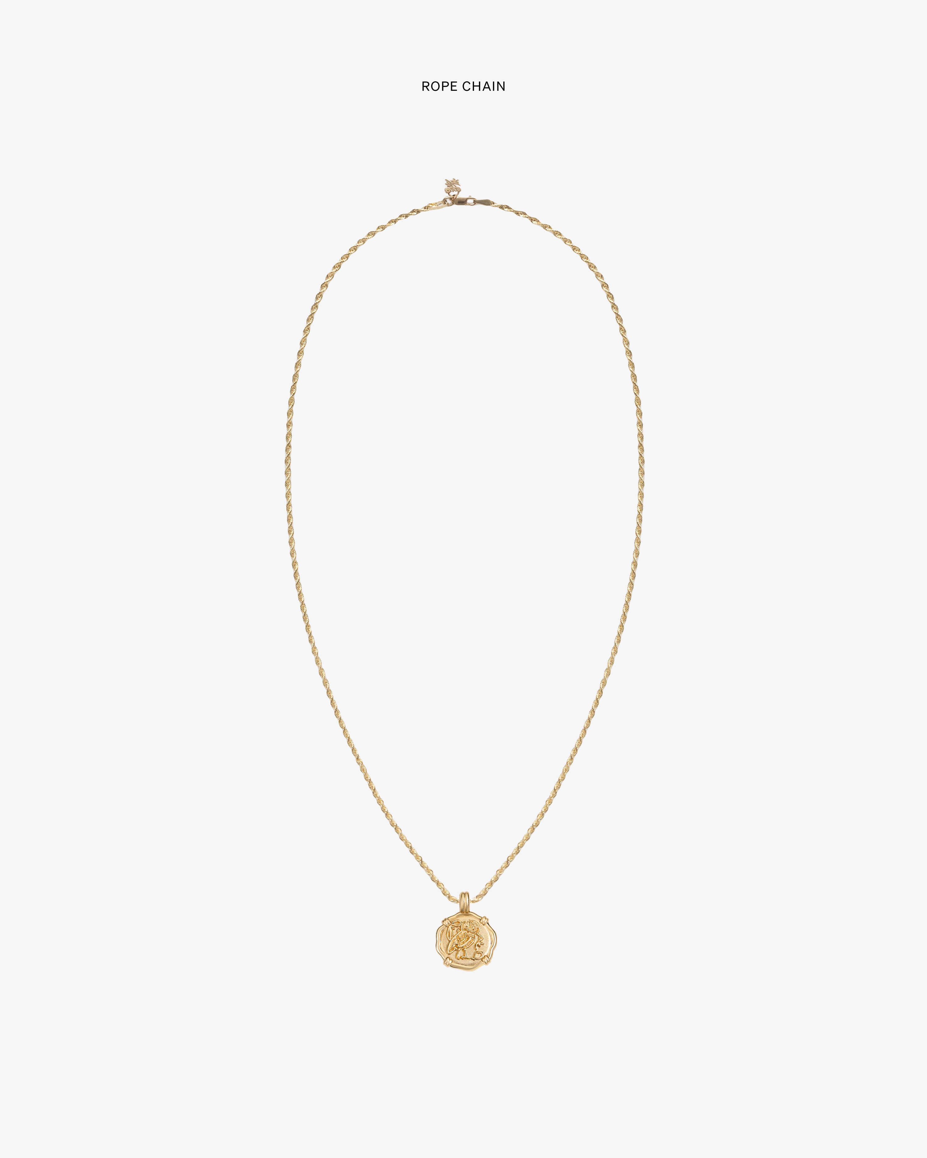 14Kt Gold Coin Pendant on a gold rope chain, centered on a plain white background.