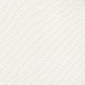 Color: Snow white