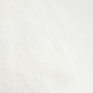 Color: Egret