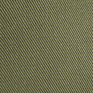 Color: Capulet olive