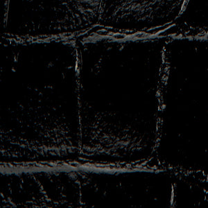 Color: Black