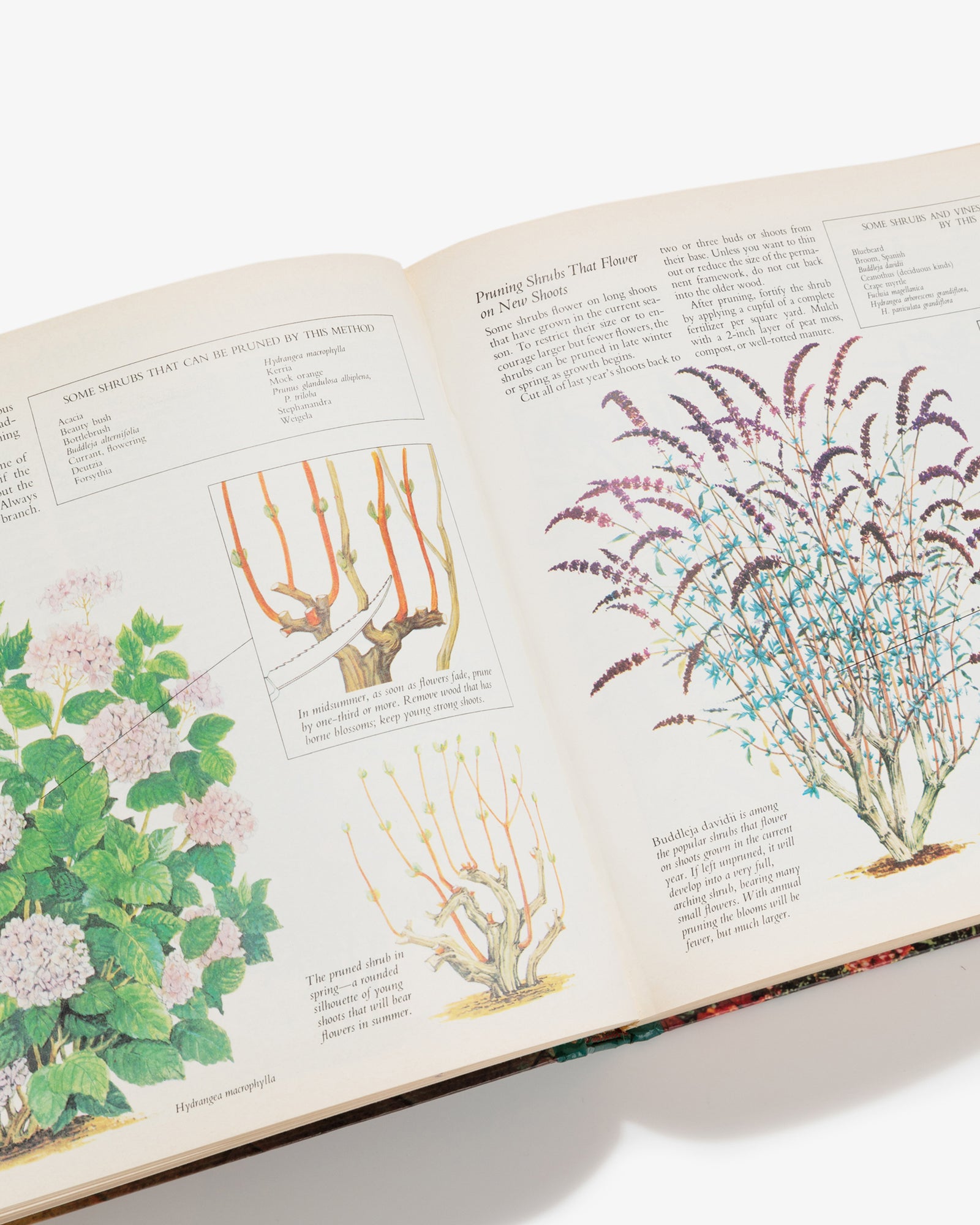 Reader's Digest: Illustrated Guide to Gardening Book