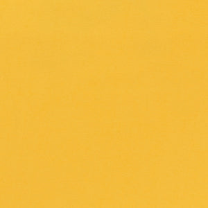 Basketball Study Tee – Aimé Leon Dore